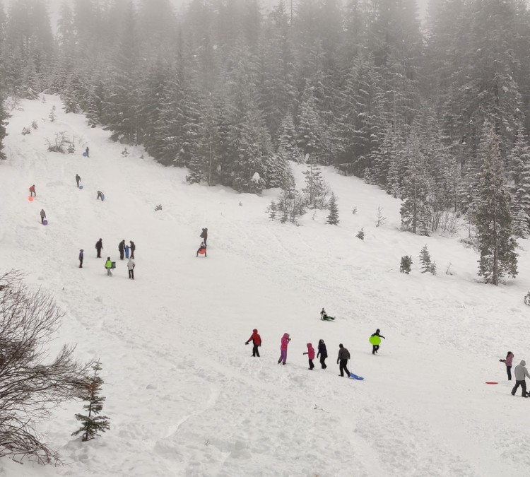 snowmans-sledding-hill-photo